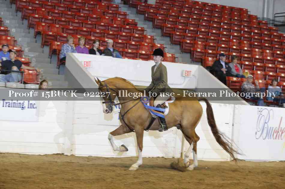 Proof 15BUCK_02227
