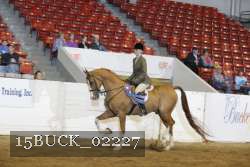 15BUCK_02227 proof