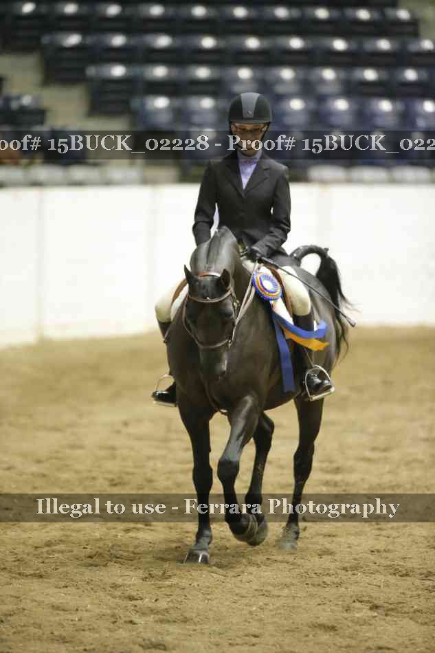 Proof 15BUCK_02228
