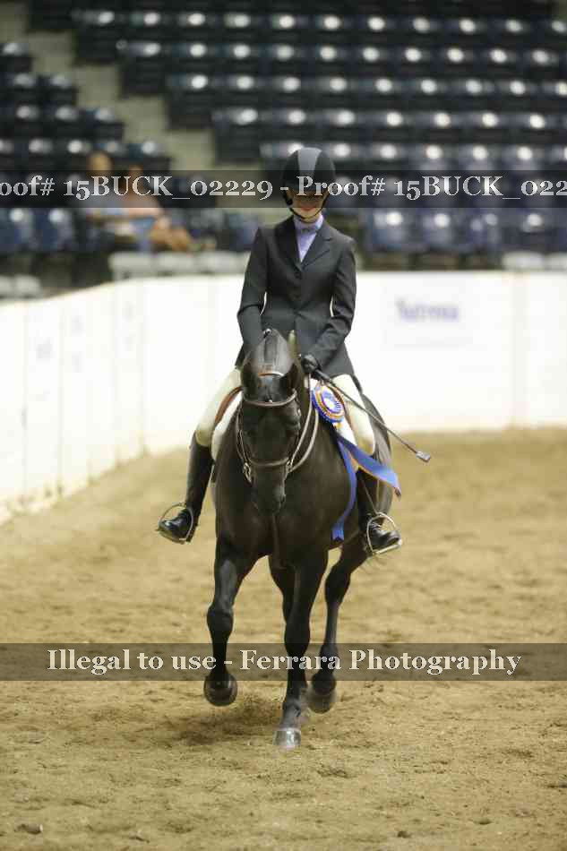 Proof 15BUCK_02229