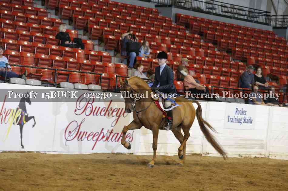 Proof 15BUCK_02230