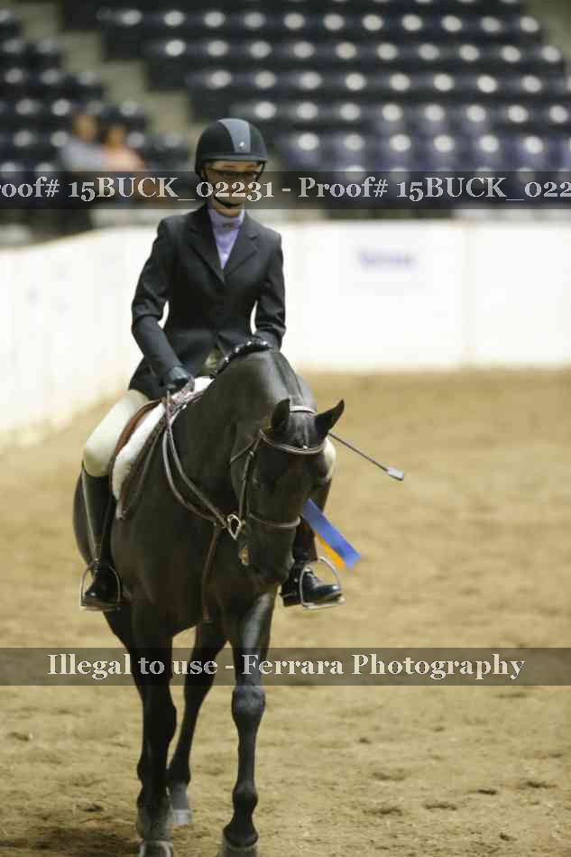 Proof 15BUCK_02231