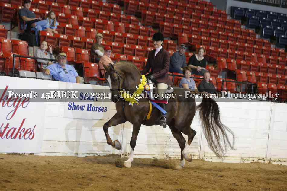 Proof 15BUCK_02234