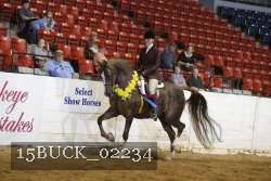15BUCK_02234 proof