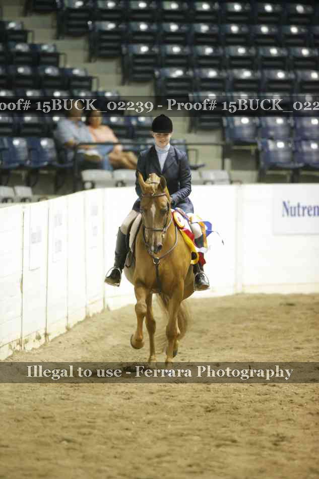 Proof 15BUCK_02239