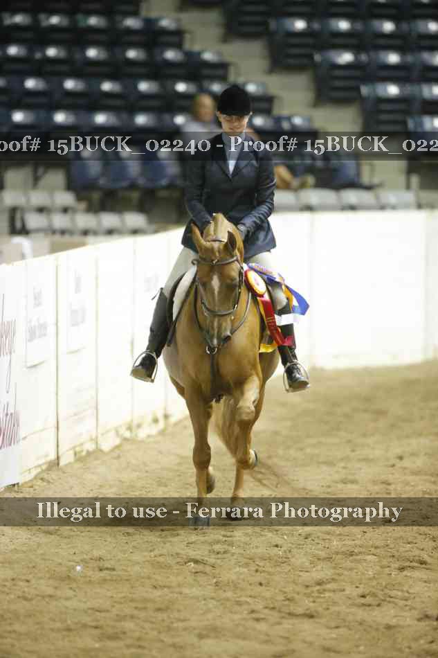 Proof 15BUCK_02240