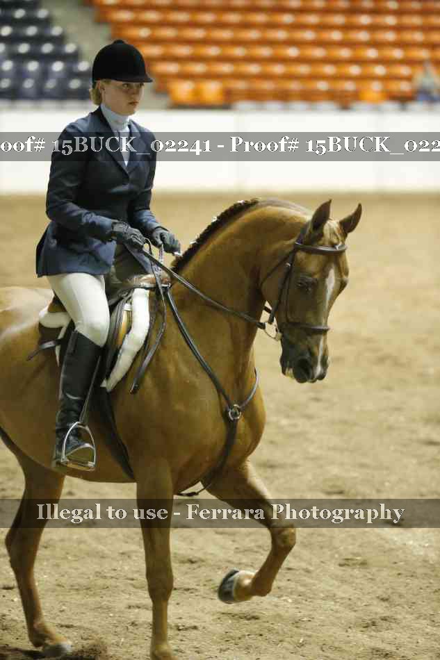 Proof 15BUCK_02241
