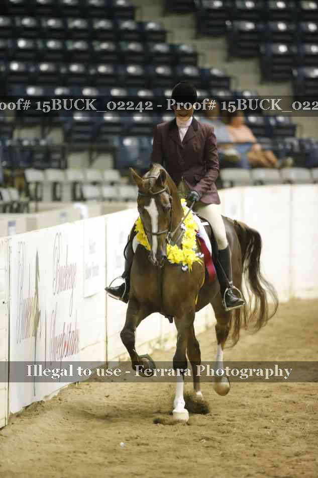 Proof 15BUCK_02242
