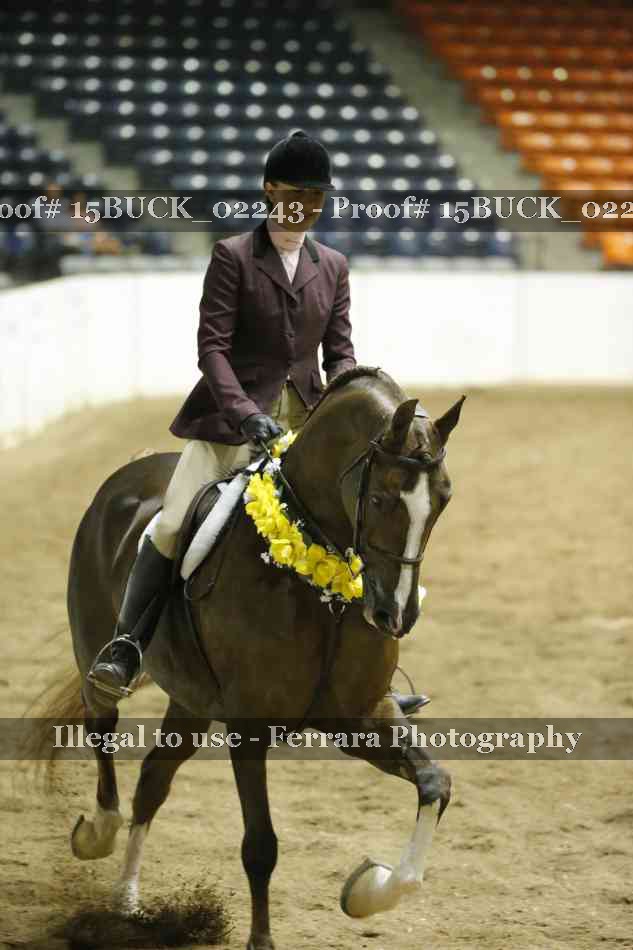 Proof 15BUCK_02243