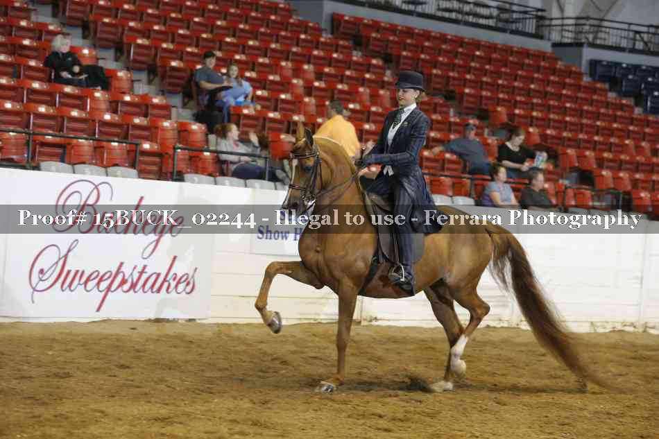 Proof 15BUCK_02244