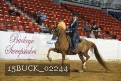15BUCK_02244 proof