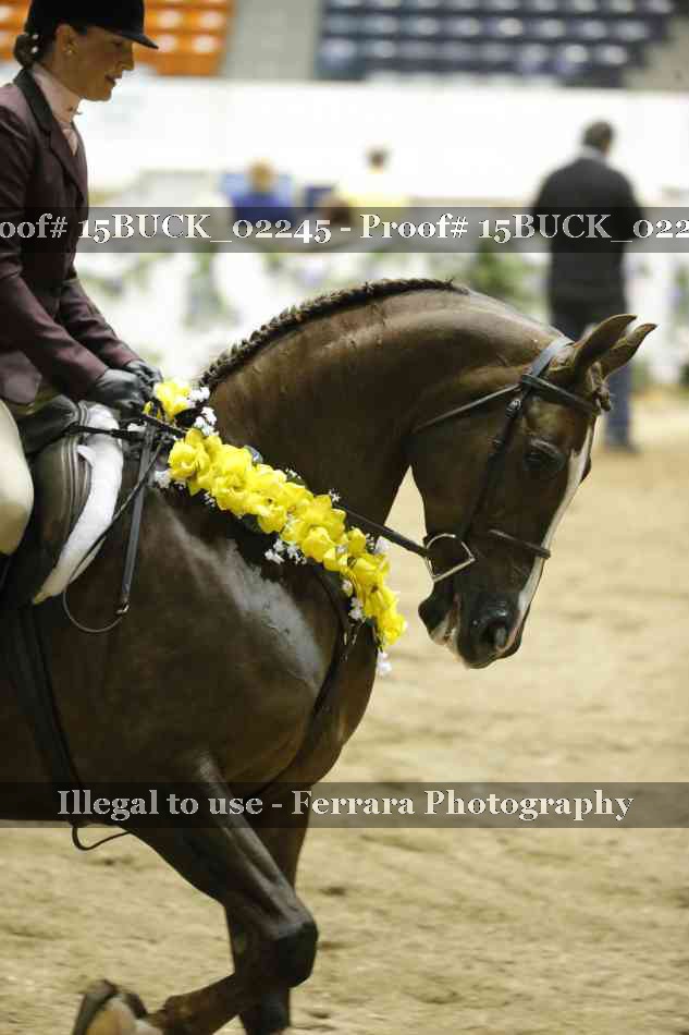 Proof 15BUCK_02245