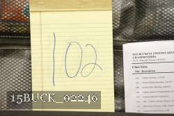 15BUCK_02246 proof