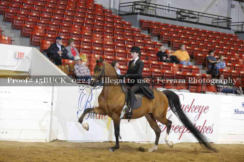Proof 15BUCK_02247