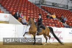 15BUCK_02247 proof