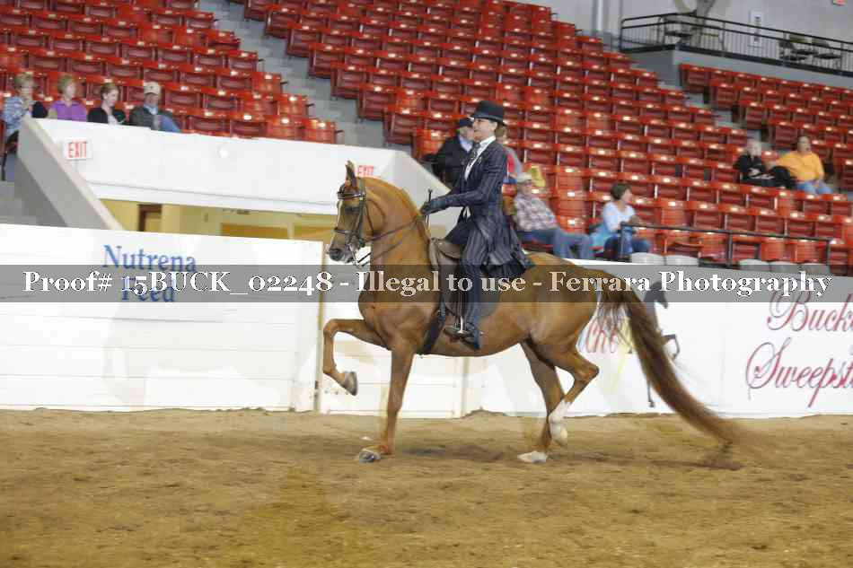 Proof 15BUCK_02248