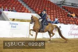 15BUCK_02248 proof