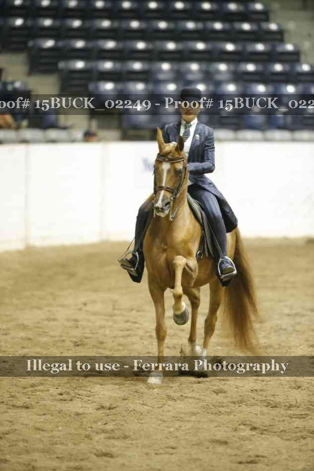 Proof 15BUCK_02249