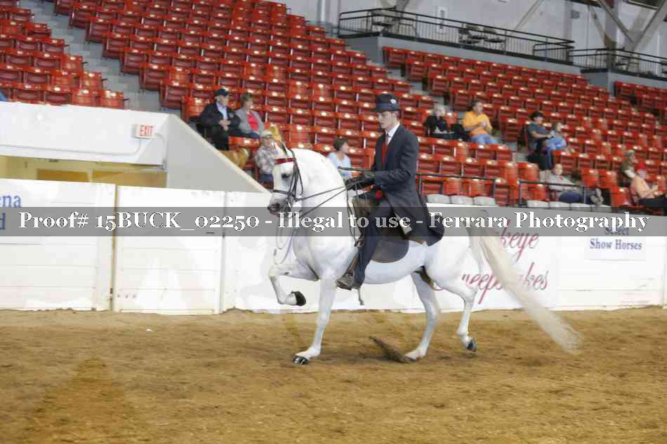 Proof 15BUCK_02250