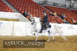 15BUCK_02250 proof