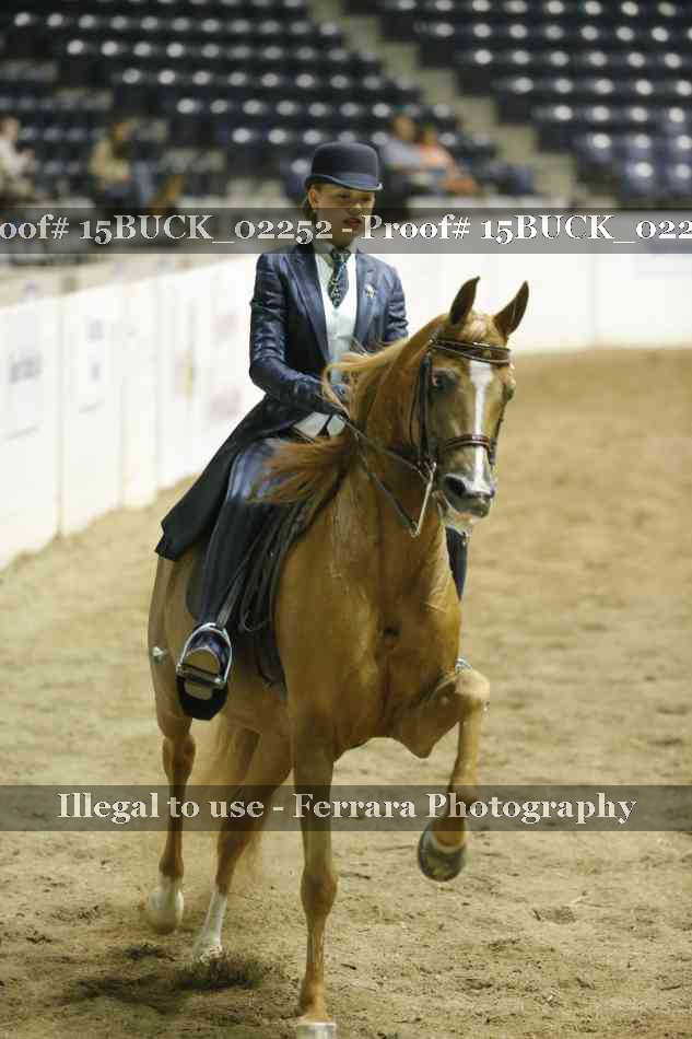 Proof 15BUCK_02252