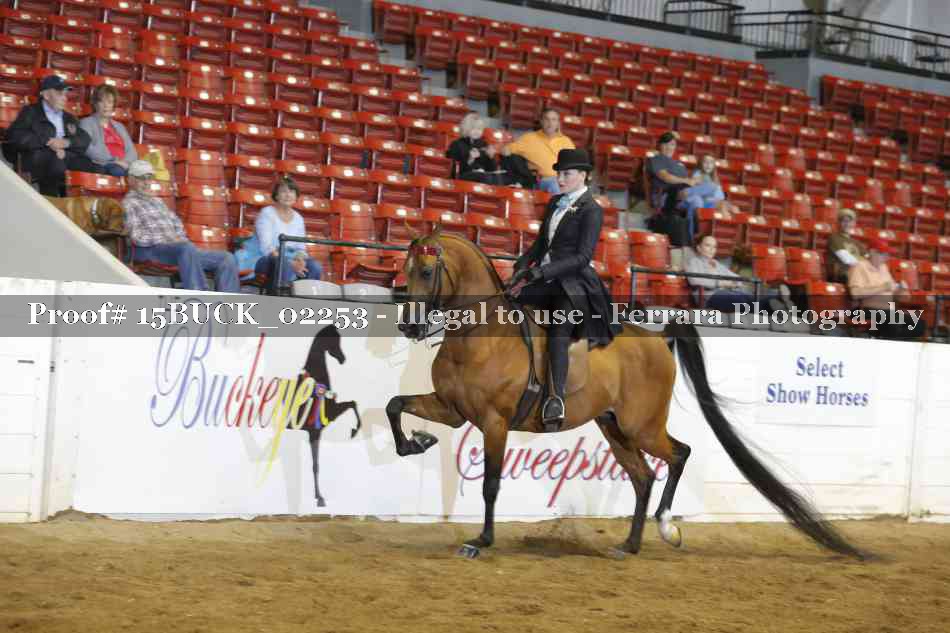 Proof 15BUCK_02253