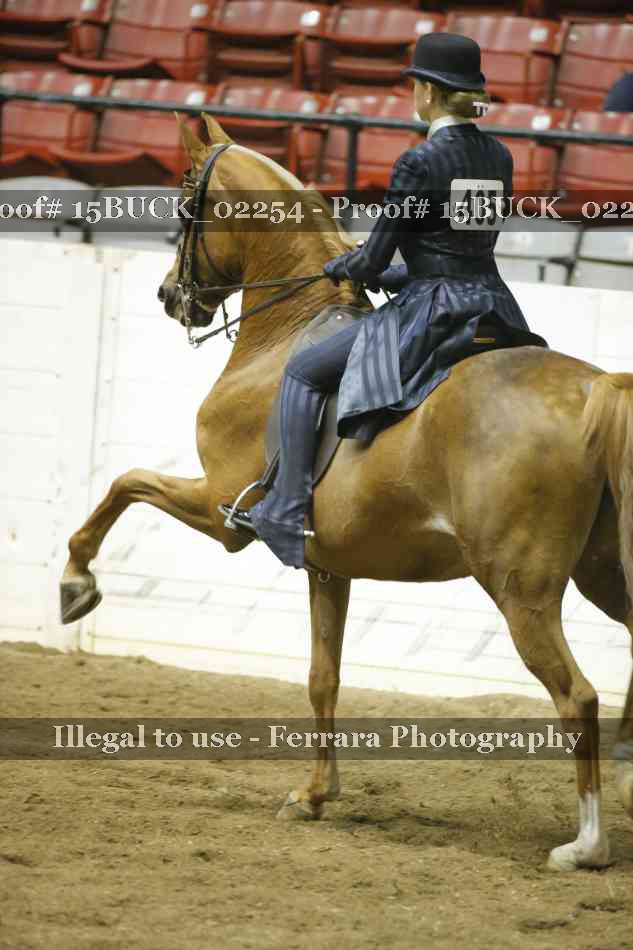 Proof 15BUCK_02254