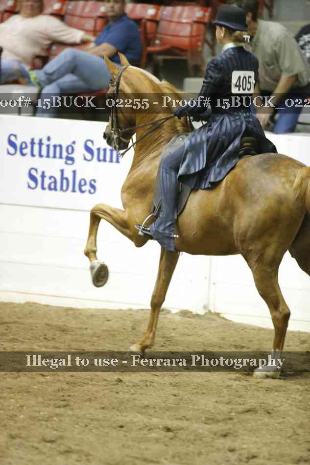 Proof 15BUCK_02255