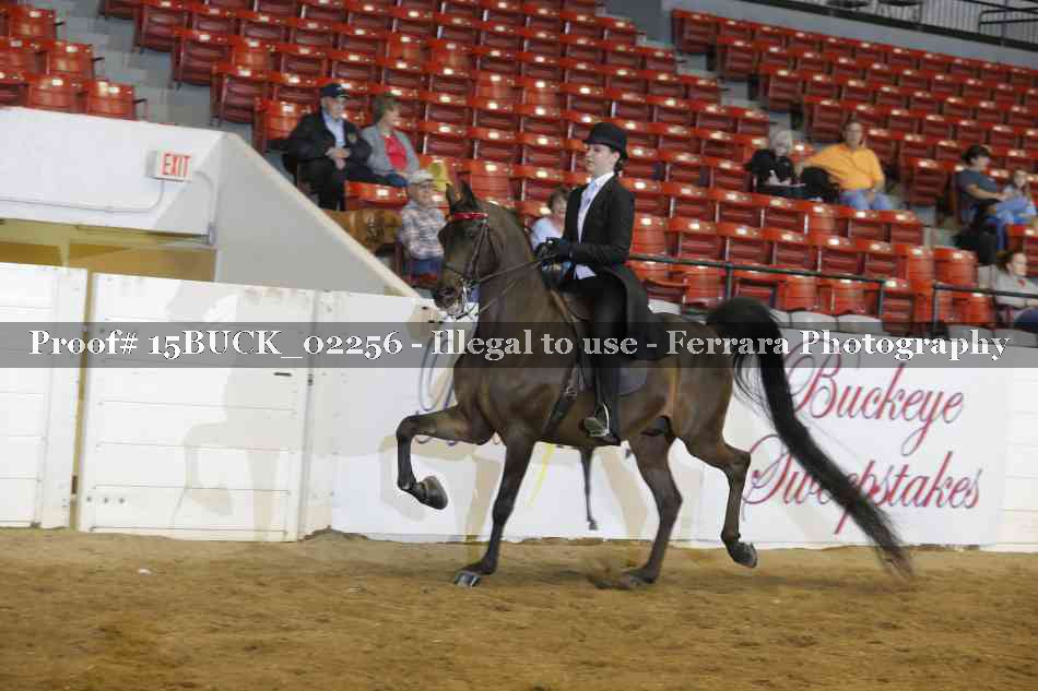 Proof 15BUCK_02256
