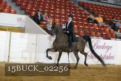 15BUCK_02256 proof