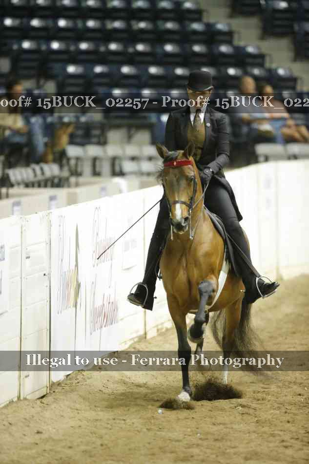 Proof 15BUCK_02257