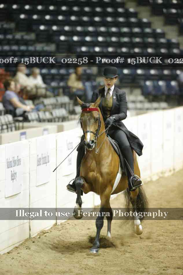 Proof 15BUCK_02258