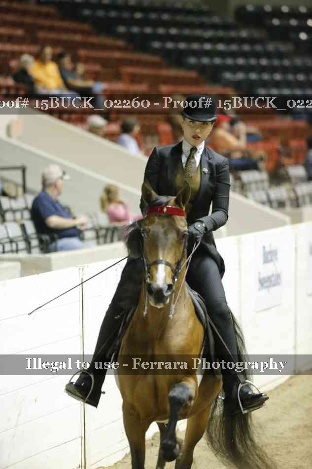 Proof 15BUCK_02260
