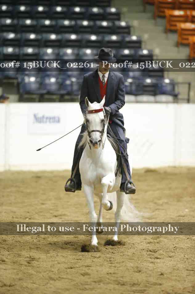 Proof 15BUCK_02261