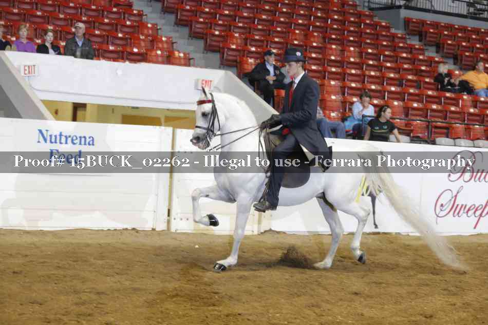 Proof 15BUCK_02262
