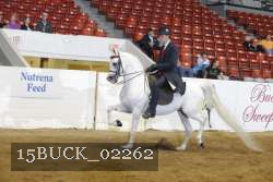 15BUCK_02262 proof