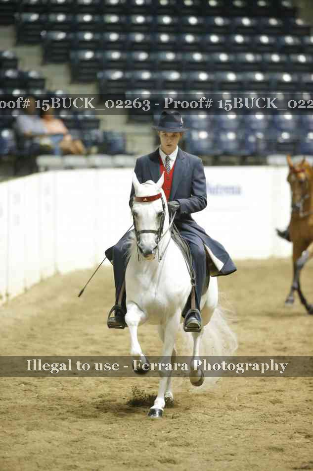 Proof 15BUCK_02263