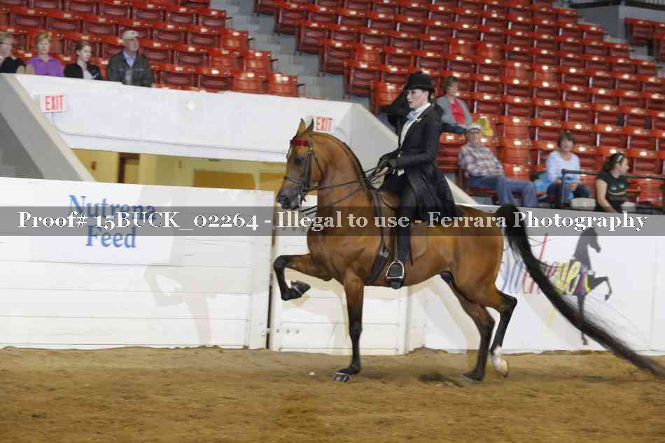 Proof 15BUCK_02264
