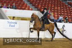 15BUCK_02264 proof