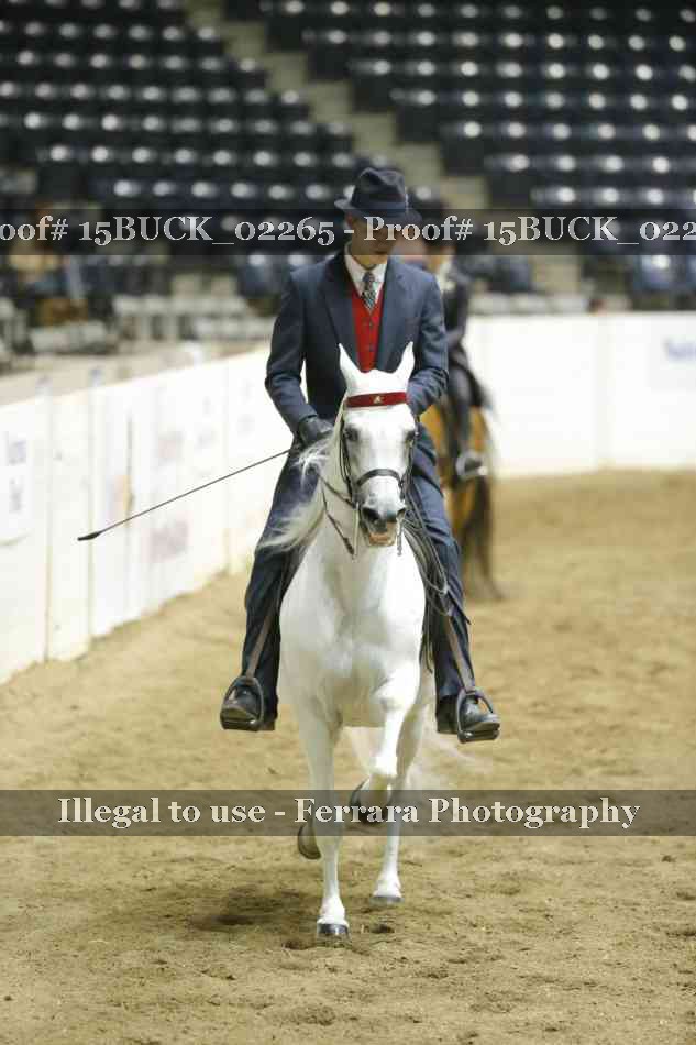 Proof 15BUCK_02265