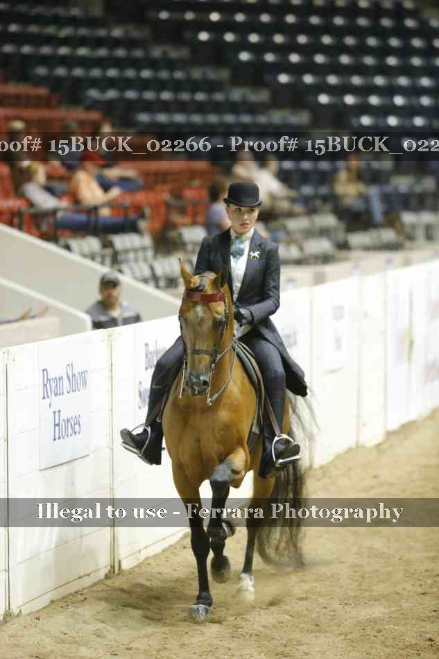 Proof 15BUCK_02266