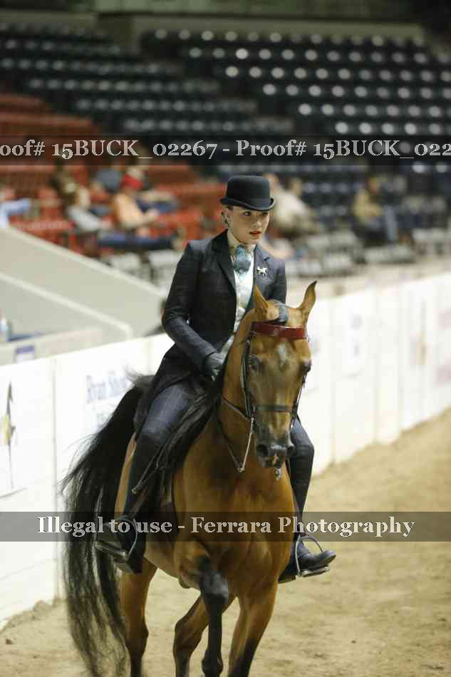 Proof 15BUCK_02267
