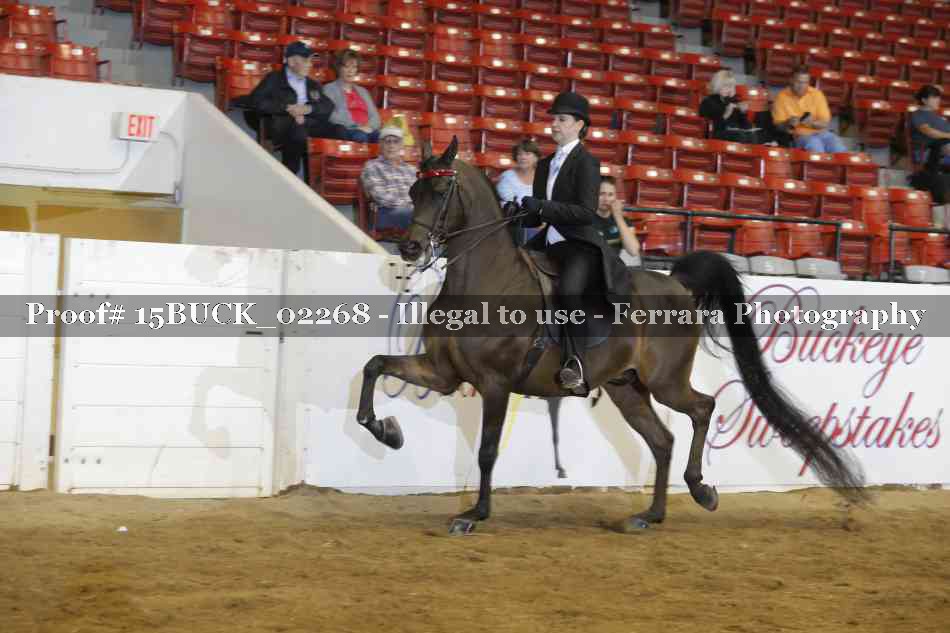 Proof 15BUCK_02268