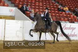 15BUCK_02268 proof