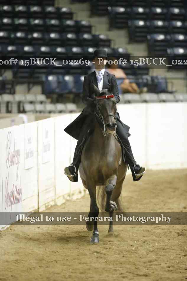 Proof 15BUCK_02269