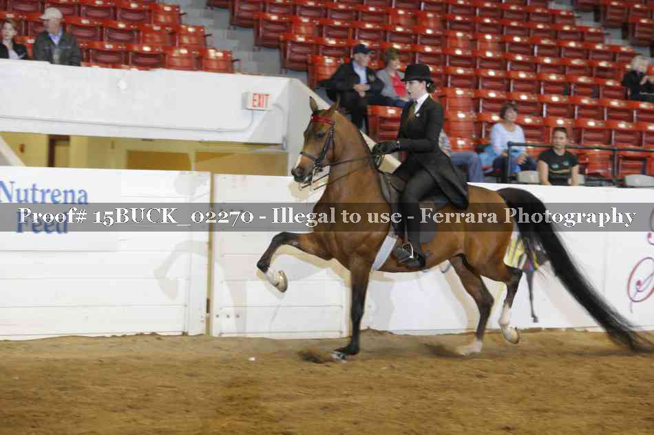 Proof 15BUCK_02270