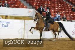 15BUCK_02270 proof