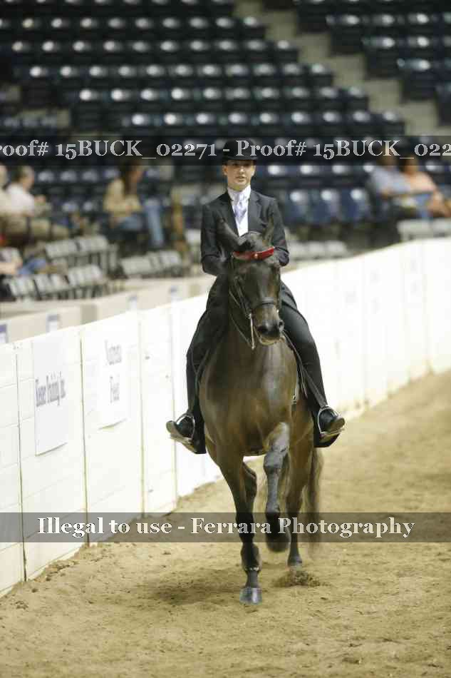 Proof 15BUCK_02271