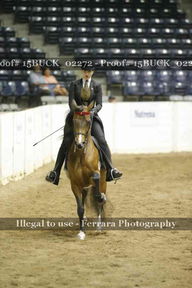 Proof 15BUCK_02272