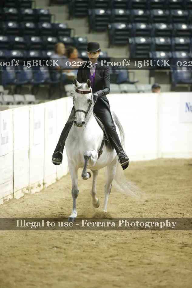 Proof 15BUCK_02273